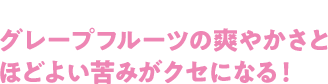 O[vt[c̑u₩Ƃقǂ悢݂NZɂȂI