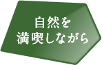 R𖞋iȂ