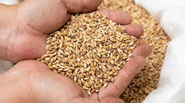 麦芽使用量を従来品の5倍に大幅UP イメージ画像