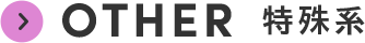 OTHER 特殊系