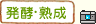 yEn