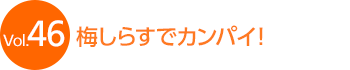 Vol.46 �~���炷�ŃJ���p�C�I