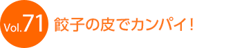 �L�q�̔�ŃJ���p�C�I