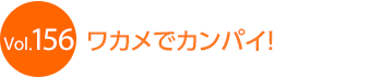 ���J���ŃJ���p�C�I