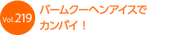 �o�[���N�[�w���A�C�X�ŃJ���p�C�I