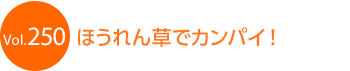 �ق���񑐂ŃJ���p�C�I