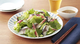 �T���_���W