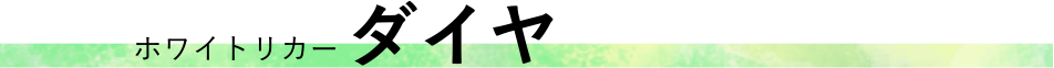 zCgJ[ _C