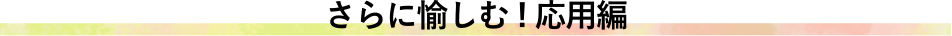 ɖށIp
