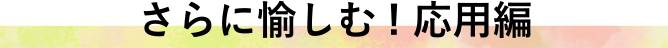 ɖށIp