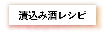 ЍݎVs