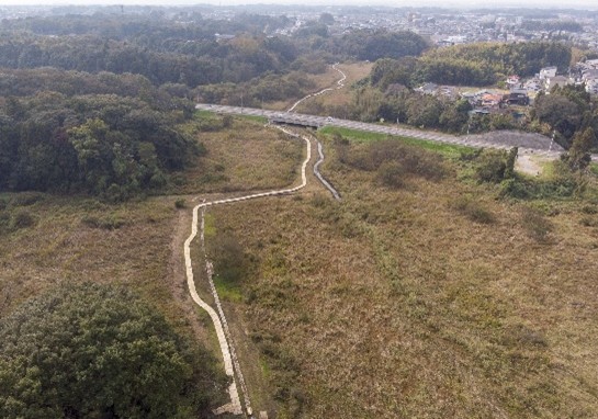 ��J�쒹�݂̂�02