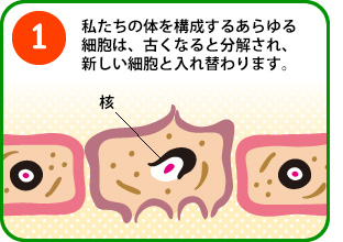 P.̑̂\邠זÉAÂȂƕAVזEƓւ܂B