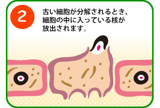 Q.ÂזEƂAזE̒ɓĂjo܂B