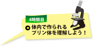 ̓ōv̂𗝉悤I
