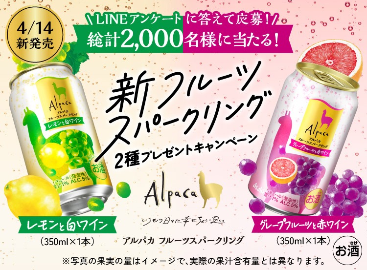 �u�V�t���[�c�X�p�[�N�����O 2��v���[���g�L�����y�[��