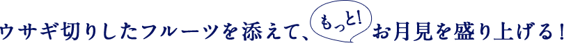 ETM؂肵t[cYāAƁI𐷂グI