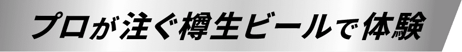 vMr[ő̌