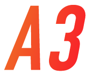A3