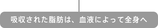 zꂽb́AtɂđSg