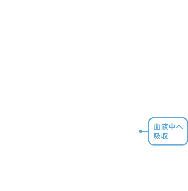 t֋z