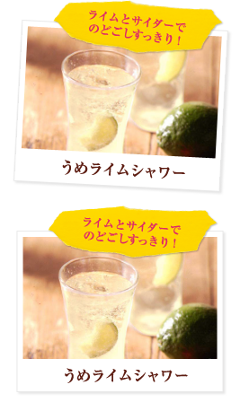 CƃTC_[ł̂ǂI ߃CV[